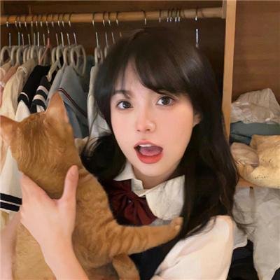 路上有狼