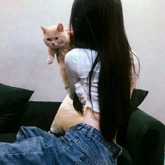 重生之慕甄第二季